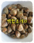 백합조개, 싱싱한 백합, 백합조개탕, 백합조개구이, 백합조개죽, 백합조개술찜, 파스타 : 통영 해물세상