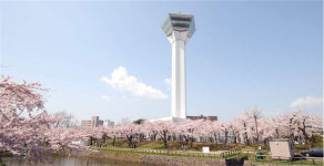 일본 홋카이도 고료카쿠 타워 입장권 : 뜨거운청춘