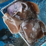 국내 조업 횟감용 손질 간재미 갱개미 간자미 1kg : 신진도꽃게