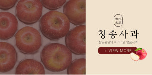 사과 : 청송사과 청일농원