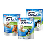 퓨리나 덴탈라이프 미니 독 트릿 소형견용 24개입 치석관리 덴탈껌 : 카카오독