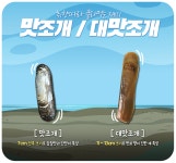 제철 대맛조개 10마리 / 가리 맛조개 1kg 홍맛조개 캠핑 조개구이 : 파머스 718