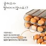 계란 보관 통 정리 함 냉장고 에그 달걀 트레이 1단 : 셀러시대