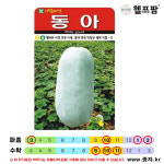 헬프팜 동아 동과 10립 씨앗 종자 아람종묘 : 헬프팜-help.farm