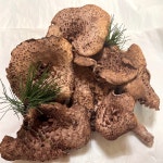 생능이 자연산능이 자연산 능이버섯 국산 능이 냉동능이 500g 1kg : 인제 성우푸드