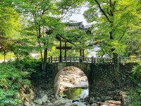 [당일/구례/화엄사/쌍산재/사성암/천은사] 주민 가이드와 함께하는 프라이빗 단독 가이드 투어(최대 6인) : 구례애올래