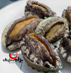 땅끝일번가 활전복 꼬마전복1kg 40-60미  라면전복 : 땅끝일번가전복