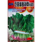 재래종시금치씨앗 진흥월동재래시금치40g : 삼대씨앗