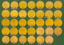 수제달고나 뽑기 행사 할로윈 어린이집 유치원 학원행사 달고나 : 달고나클라쓰