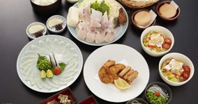 일본 도쿄 토라후구 테이 레스토랑 : 뜨거운청춘
