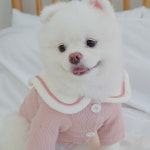 강아지 유치원복 세라복 니트 가디건 똑띠 XS - 2XL : 똑띠 ddokddi