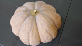 손질호박 늙은호박 맷돌호박 깍뚝썰기 슬라이스 1kg  산지직송 친환경 23년 국내산 : 용담베리