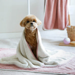 피버 강아지 고양이 소프트 극세사 타월 펫타올 (핑크+아이보리) 2p : 도도한펫