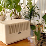 독일 브루네가습기 B125 자연기화식 대용량가습기 : 하니아리마켓