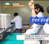 백봉오골계란 초란(30알 자연방사)난각코드 1번-영자초란 백봉춘천농장(무항생제 유정란) : 백봉오골계강촌가정리