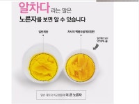 백봉오골계란 초란(30알 자연방사)난각코드 1번-영자초란 백봉춘천농장(무항생제 유정란) : 백봉오골계강촌가정리