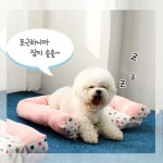 애견 방석 강아지 쿠션 침대 매트 베드 핑크 소 : 띠앗스토리