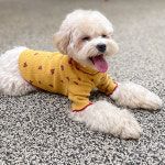 티아라펫 카멜리아 골지 폴라 티셔츠 강아지옷 애견의류 : 허니수니