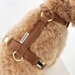 (카멜브라운) 하네스 포리하우스 강아지 고양이 가슴줄 소형견 중형견 H형 브라운 하네스 : 포리하우스