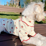 티아라펫 카멜리아 골지 폴라 티셔츠 강아지옷 애견의류 : 허니수니