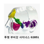 [GPI] 투명 부비강 사이너스 모형 G2851 (투명코모형) : 케이엠글로벌