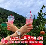 고흥 새콤달콤 생석류 [소과] : 고흥석류