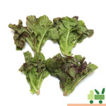 쫑상추 (절이지 상추) 1Kg : 사라상회
