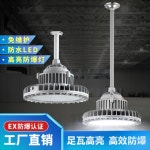 LED 방폭등 내압 투광등 HUARONG 조명 창고 작업장 특수 화학 공장 방진 방수 부 : 더카이씬
