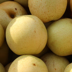 달콤시원 가정용 황금배 3kg 랜덤과 : 나주로농산