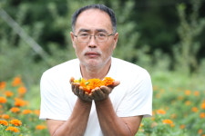 거창 단지봉농장 메리골드꽃-산적이 예술로 덖었다! : 거함산마켓