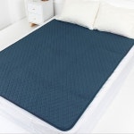 한일의료기 코지아 프리미엄 인공지능 EMF 탄소매트 슬림형 전기요 : 엘앤케이미디어