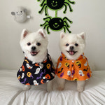 강아지고양이 할로윈 호박 유령 망토 S : 페피랜드