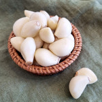 싱싱 국산 깐 마늘 500g ~5kg 햇마늘 생마늘 간마늘 대서마늘 국내산깐마늘 창녕깐마늘 의성 깐 마늘 반찬 거리 : 춘복상회 보따리장수