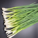 [제주점순이네]제주도 깐쪽파  손질쪽파 5kg 2kg 1kg : 제주점순이네