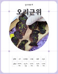 오리근위 : 멍브레드