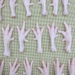 바브로 국내산하림 뼈있는 닭발 60g 수제간식 냉장육 펫푸드 : babro