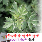 강화 약쑥 즙 엑기스 진액 100ml 60포 쑥추출액 쑥차 : 내몸에 자연가득