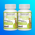 허벌랜드 키즈 멀티비타민 미네랄 구미 60정 x2개 : 아만노마켓