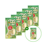 은행DX골드플러스 높은함량 은행잎추출물 혈액순환 개선 징코 3개 300정, 6개 : 주식회사 영앤헬스