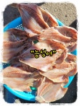 말린 생선 능성어, 맛있는 능성어, 능성어구이, 능성어찜, 능성어조림... 능성어, 술안주 능성어구이, 밥반찬 능성어구이  추천,. : 통영 해물세상