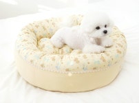 푹신한 강아지방석 오가닉 허니베베 원형 베드 아이보리 M L 사이즈 : 피치독