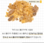 HACCP 인증 인도산 유향보스웰 먹기 쉬운 정타입 보스웰리아 보수엘리아 홈쇼핑 유향보스웰리아덩어리 추출물 가루 성분 우슬 초록입홍합... 