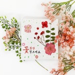 예쁜 액자 만들기 그리기 키트 압화 공예 DIY 꽃 스텐실 : 셀렉 스토어