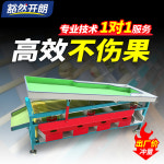 과일 선별기 자동 크기 선별 분류기 감귤 겨울 대추 : 다루다DAROODA