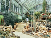 [발리] 발리 서부 VW 지프 투어 : 비프리투어