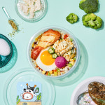 [펫푸드판다] 전복 화식 (500g, 대형견용) / 강아지 화식 수제 사료 자연식 기력회복 간건강 : 펫푸드판다