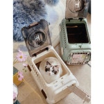 강아지켄넬 캐리어 산책 케이지 기내용 대형견 고양이 가방 : 이은사