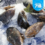 제철 자연산 섭 홍합 담치 1kg 홍합탕 : 파머스 718