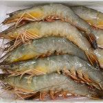[푸디앤] 태안 자연산 왕새우 대하 1kg 31-36미 (냉동) : 푸디앤