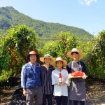 문경 오미자청 원액 엑기스 1500ml 2병 오랜전통1996년 : 자연미소